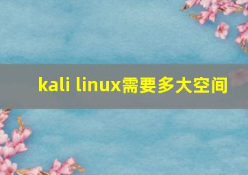 kali linux需要多大空间